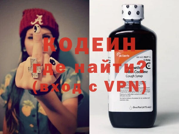 индика Новодвинск