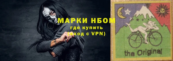 индика Новодвинск