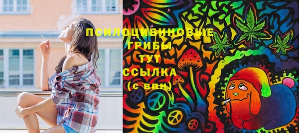 индика Новодвинск