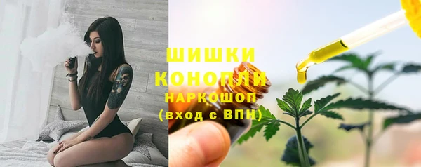 ALPHA PVP Новозыбков