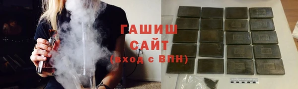 индика Новодвинск