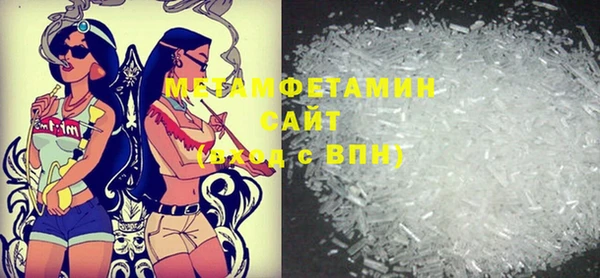 индика Новодвинск