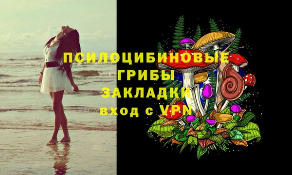 ALPHA PVP Новозыбков