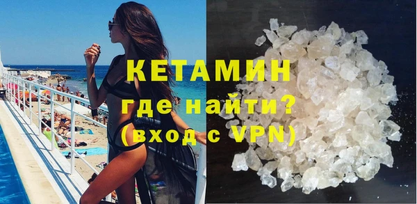 индика Новодвинск