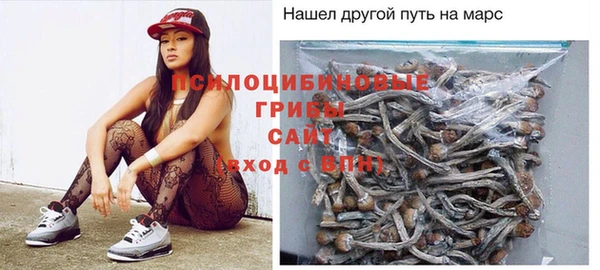 индика Новодвинск