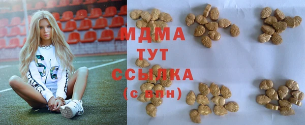 индика Новодвинск